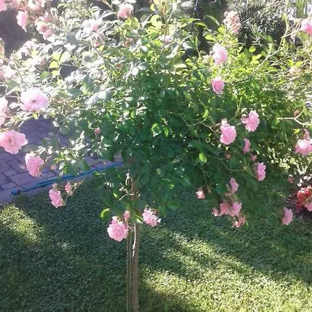 Layla Villa Bihac
