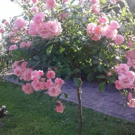 Layla Villa Bihac